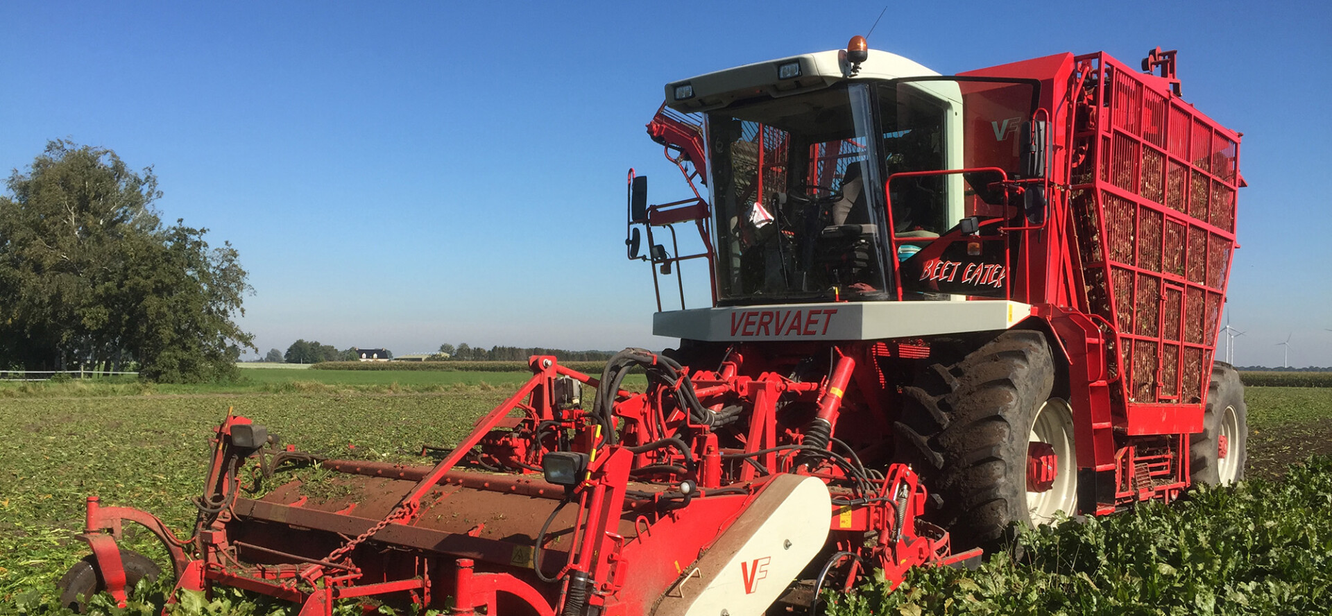 Oogsten van een gewas op een zonnige dag